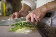 Load image into Gallery viewer, SHOGUN 9.5" CHEF'S KNIFE