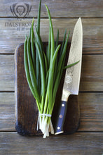 Load image into Gallery viewer, SHOGUN 9.5" CHEF'S KNIFE