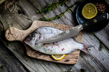 Load image into Gallery viewer, SHOGUN FILET KNIFE