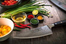 Load image into Gallery viewer, SHOGUN CHEF&#39;S KNIFE
